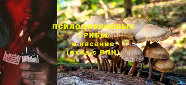 MDMA Белокуриха