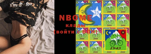 прущие грибы Балахна