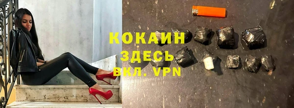 прущие грибы Балахна