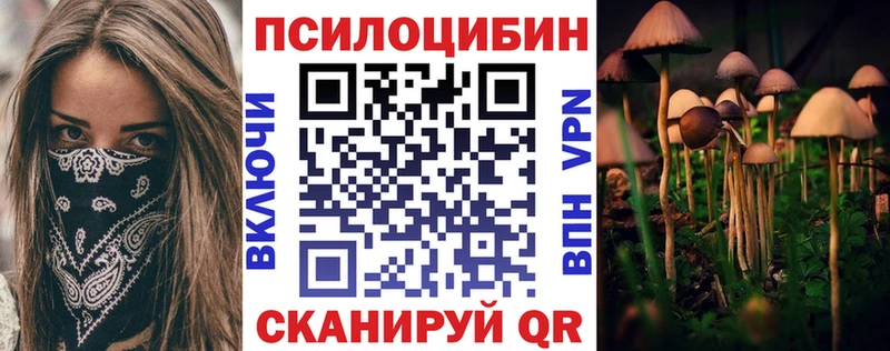 OMG рабочий сайт  Кущёвская  Псилоцибиновые грибы MAGIC MUSHROOMS  купить наркоту 